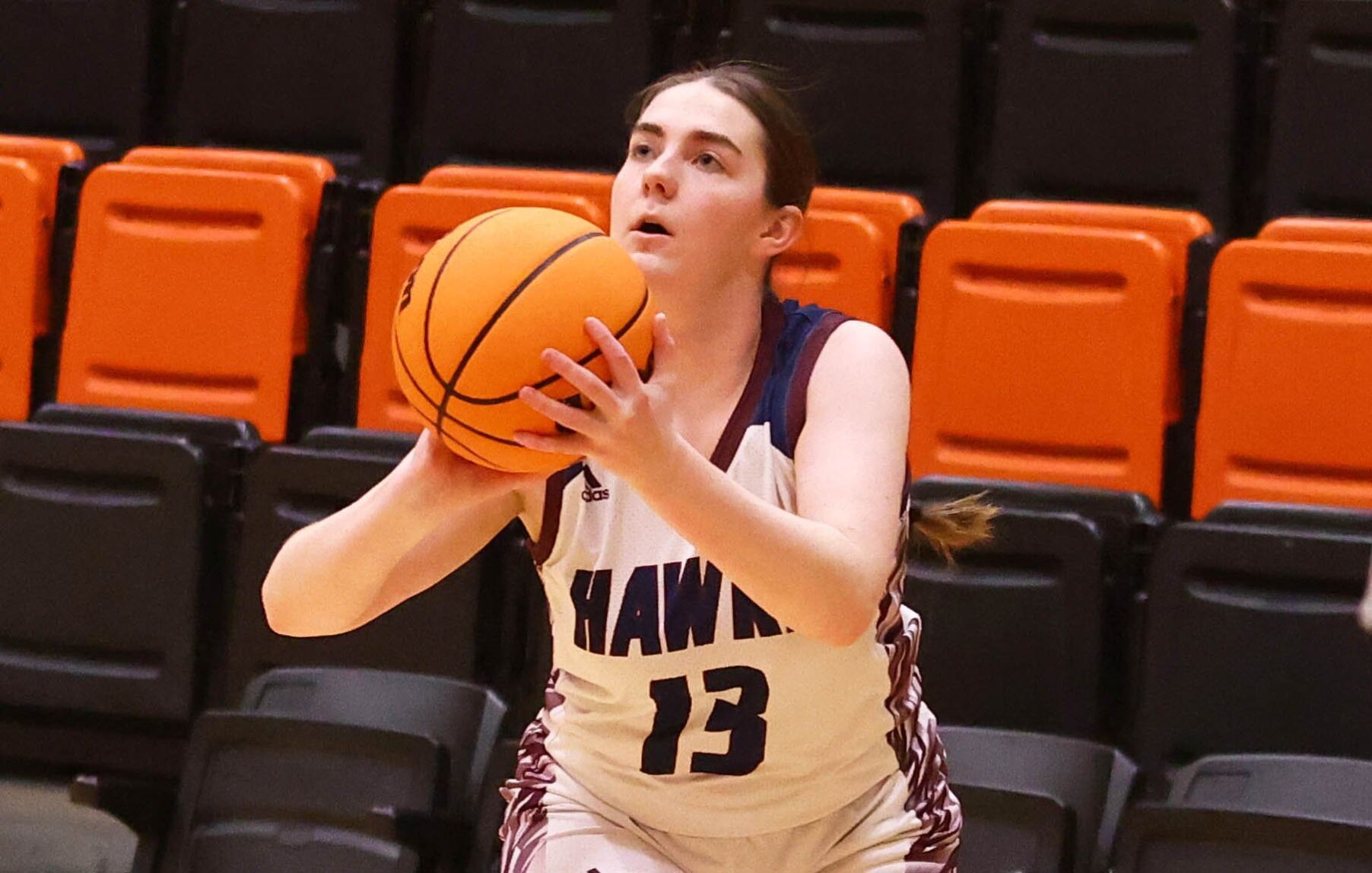 GIBAULT_03_PB.JPGSTL1050090040